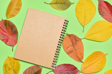Yeşil arka planda parlak sonbahar yapraklarıyla çevrili bir el işi defter.