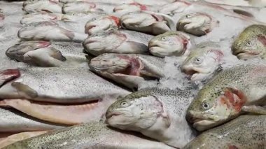 Taze alabalık ezilmiş buzun üzerinde tezgahta, yana doğru ilerliyor.