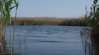 Ukrayna 'nın Kherson bölgesinde bozkırın ortasında bir göl manzarası