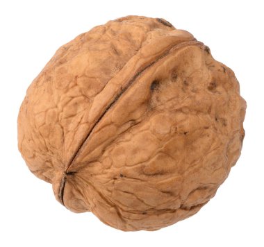 Kabuğunda izole bir zemin üzerinde belirgin doku ve oyuklar olan bir ceviz..