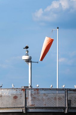 Wind indicator cone on Cardiff Pier surrounded by seagulls