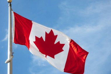 Kanada bayrağı, Ottawa şehir merkezinde açık mavi bir gökyüzüne karşı uzun metal bir bayrak direğinde dalgalanıyor..