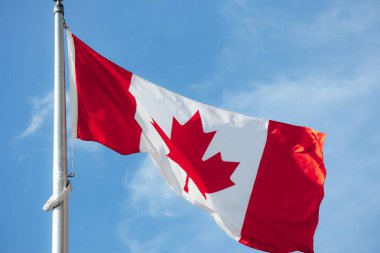 Kanada bayrağı, Ottawa şehir merkezinde açık mavi bir gökyüzüne karşı uzun metal bir bayrak direğinde dalgalanıyor..