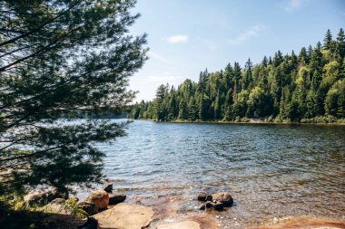 La Mauricie Ulusal Parkı, Quebec 'te ebedi yeşil orman ve sakin su manzarası