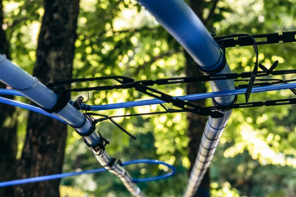 Kanada 'nın Quebec kentindeki modern akçaağaç özsuyu toplama sisteminin ayrıntılı bir görüntüsü, akçaağaç şurubu üretiminde kullanılan özsuyu çıkarmak için ormandaki akçaağaç ağaçlarına bağlı mavi plastik boruları gösteriyor.