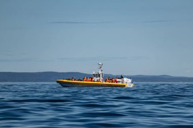 Tadoussac, Kanada - 22 Ağustos 2025: Quebec, Tadoussac yakınlarındaki St. Lawrence Nehri 'nde balina gezileri sırasında şişme botlarda parlak turistler