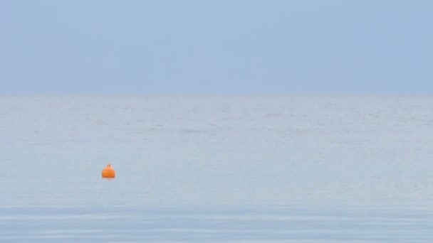 Boya balanceándose sobre las olas del mar — Vídeo de stock