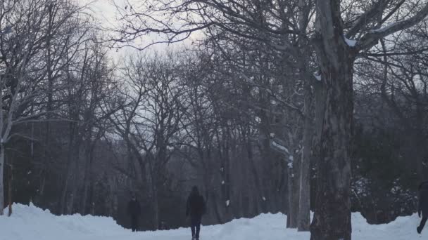 Pessoas caminhando na estrada nevada no frio dia de inverno — Vídeo de Stock