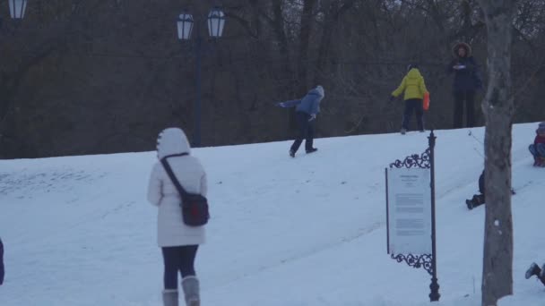 Crianças trenó na neve, acidente enquanto trenó no parque no inverno — Vídeo de Stock