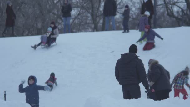 Anak bermain bola salju di taman bersalju di musim dingin sementara anak-anak meluncur — Stok Video