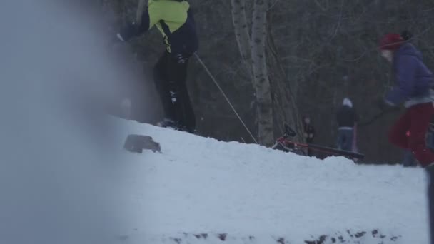 Kids driven sledges on the hill to sledding from it in winter — Stock Video