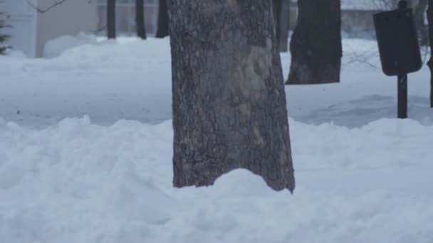 Πάγκο κάτω από το χιόνι σε συννεφιά ημέρα του χειμώνα — Αρχείο Βίντεο