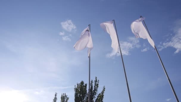 Fehér zászlók integetett a szél a fák előtt — Stock videók