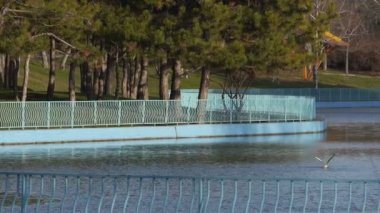 Görünümü ile onun Kuğu Gölü nün su patlamaların