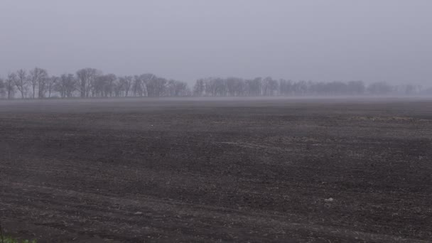 Brouillard volant au-dessus des champs tôt le matin — Video