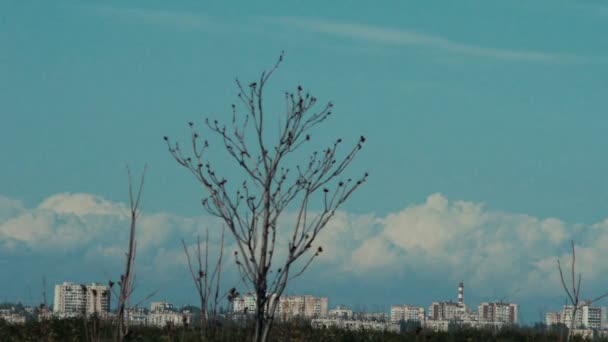 Land van de Sovjetstijl landscapew ver weg op de blauwe hemelachtergrond — Stockvideo