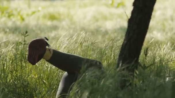 Fille balançant les jambes allongées dans l'herbe et apparaissent seulement les mains avec le téléphone — Video