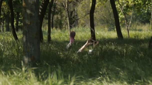 Fille balançant les jambes allongées dans l'herbe et apparaissent seulement les mains avec le téléphone — Video