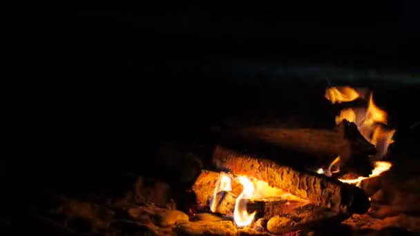 Bonfire Burning on a Beach Close Up — Stock Video