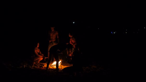 Mensen verzamelen rond het vreugdevuur op nacht strand en drankje spreken — Stockvideo