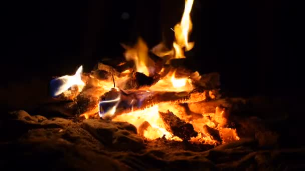 Lagerfeuer am Strand aus nächster Nähe — Stockvideo