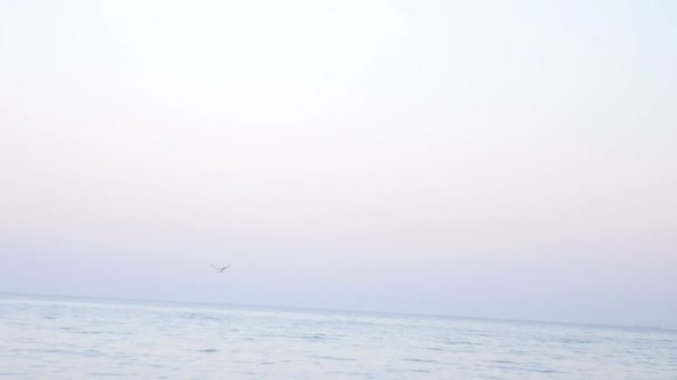 Mother with a Little Daughter in Hands in Sea Show Flying Gull — Stock Video