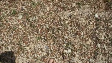 Deniz suya girmeden ayakları üzerinde seyir man gözlerinden görüntülemek