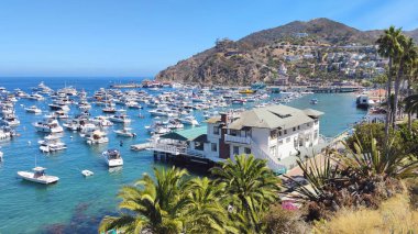 Avalon, California, ABD - 31 Ağustos 2025: Kaliforniya 'da ünlü bir seyahat merkezi olan Avalon Limanı' nın manzaralı panoramik manzarası. Körfez güneşli bir yaz gününde tekne ve yatlarla doludur.