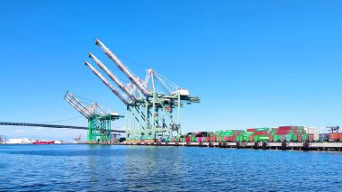 Long Beach, California, ABD - 31.08.2025 Los Angeles limanındaki Gantry vinçleri, güneşli bir günde arka planda Vincent Thomas Köprüsü 'nün bulunduğu kargo konteynerlerini yüklüyorlar.