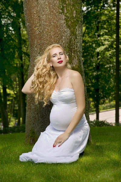 La rubia embarazada está sentada junto al árbol —  Fotos de Stock
