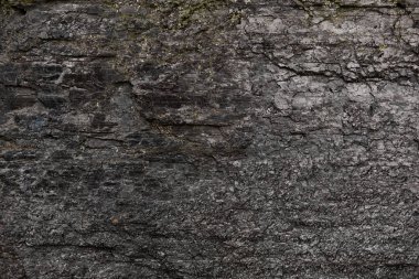 Yanmış ahşap dokusu. Metin için siyah arkaplan. Boşluğu kopyala