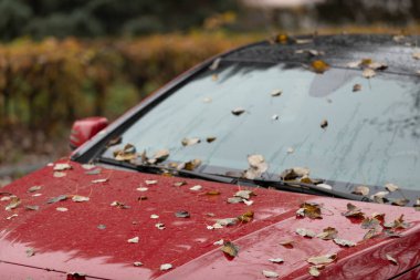 Sonbahar yağmuru damlaları düşen yapraklarla kaplı kırmızı bir arabaya düşer. Arkaplan bulanık.