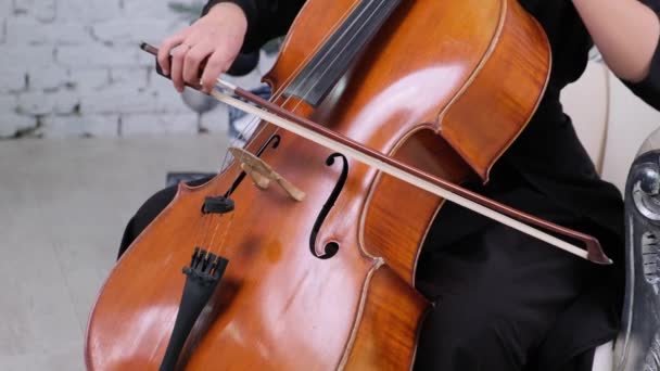 Detalj Cello Som Spelas Kvinna Inomhus — Stockvideo