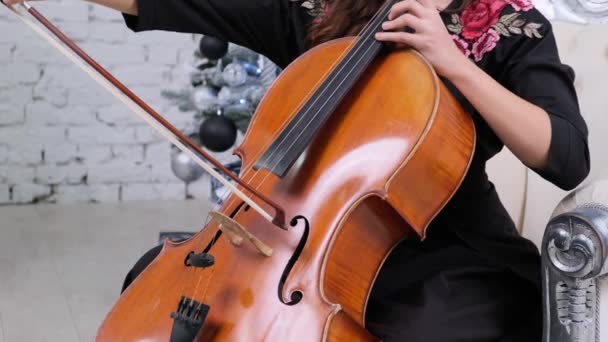 Detail Van Een Cello Gespeeld Door Een Vrouw Indoor — Stockvideo