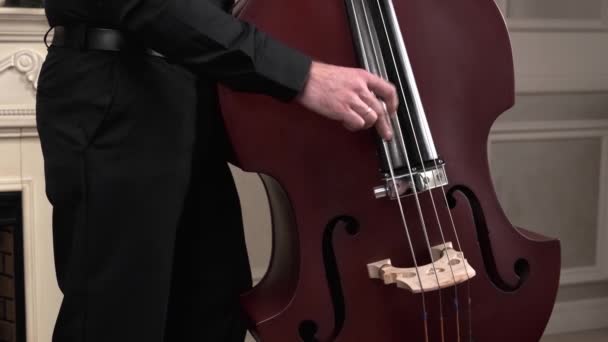 Symfonie Orkest Man Die Cello Speelt Door Handen — Stockvideo