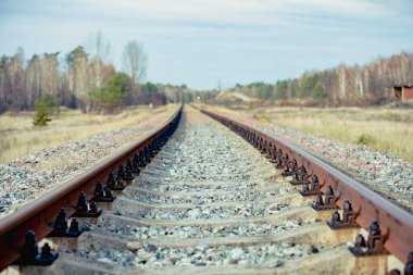 Çernobil Nükleer Santrali Yabancılaşma Bölgesi, Ukrayna 2020