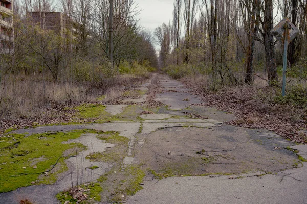 Elhagyott Szellemváros Prypiat Túlburjánzott Fák Összeomló Épületek Pripyat Ban Chornobyl — Stock Fotó