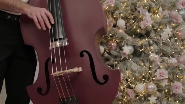 Homme avec violons jouant joyeusement de la musique dans la chambre avec des décorations de Noël — Video