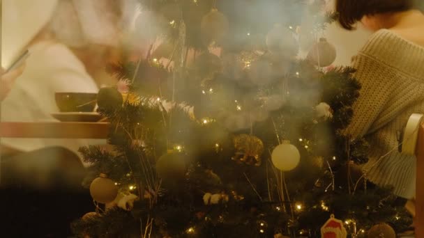圣诞树 有球和闪光的灯背景假日桌子上的咖啡店 通过窗口查看 — 图库视频影像