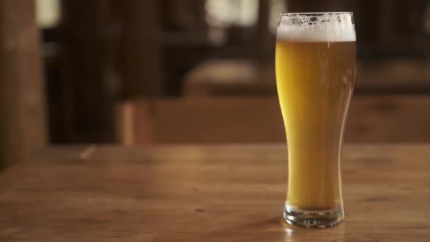 Cerveza. Cold Craft light Cerveza en un vaso con gotas de agua. Pinta de cerveza de cerca sobre un fondo de madera. — Vídeo de stock