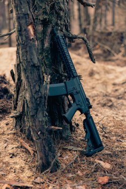Günümüz saldırı tüfeği, güneşli bir ormanda, yosunların arasında bir çam ağacına yaslanıyor..