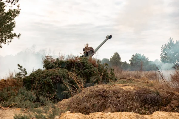 Kamuflajlı Topçu Konumu, kendi itici topçu teçhizatı ormanda pozisyon aldı. Askeri araç dallarla kamufle edilmiş.