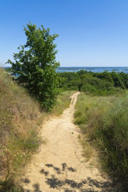 Dar, dolambaçlı bir toprak yol yeşil ve kuru çimenlerin ve ağaçların arasından geçer, geniş bir nehrin panoramik manzarasına ve berrak mavi gökyüzüne götürür.