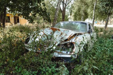 Ağır hasarlı ve paslanmış eski bir sedan araba, çatışma sonrası çevrede yoğun yeşillik ve çalılarla terk edilmiş ve kaplanmış bir şekilde yatıyor.