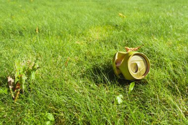 Ezilmiş sarı metal bir içeceği yeşil bir çimenliğe atabilirsin. Çevre kirliliği, çöplük ve atık yönetimi kavramı