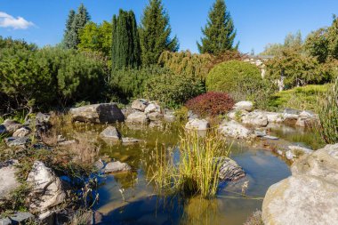Büyük taşlar ve su bitkileriyle dekoratif bir bahçe havuzu manzarası. Yaz parkında masmavi gökyüzünün altında yemyeşil ağaçlar ve çalılar.