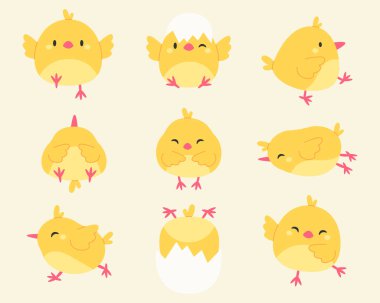 Beyaz arka planda izole edilmiş yavru civcivlerin komik çizimleri. Düz biçimli vektör illüstrasyonu.