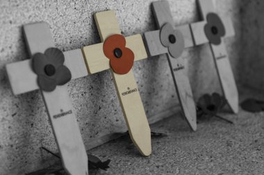 Anma günü için çapraz haşhaş