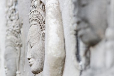 Gölgelik yürüyüşler Kraliçe sirikit Botanik Bahçesi, Tayland