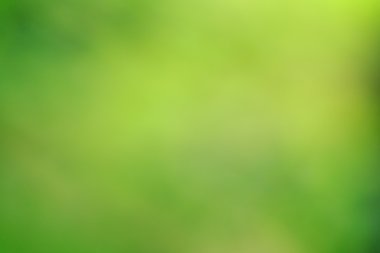 Yeşil doğadan arka plan bulanıklık